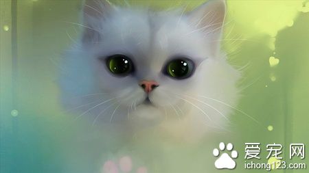 猫咪有耳螨怎么办 耳螨具有传染性