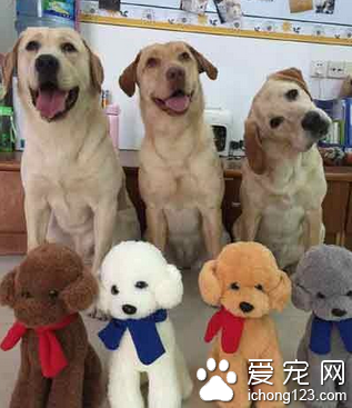 为你的抢戏加分