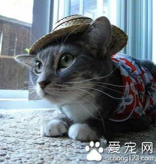 这打扮眼光还是不错的