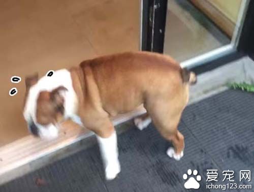 遇到最害怕的电线跟梯子该怎么办呢？