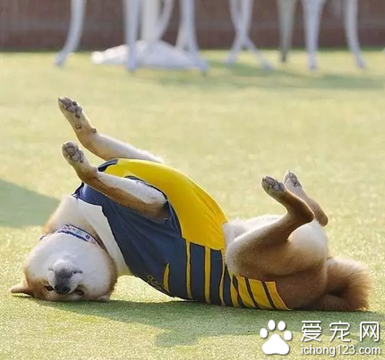 真是奇葩的姿势……