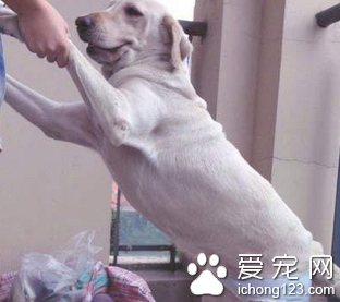 不要逼我做我不想做的事