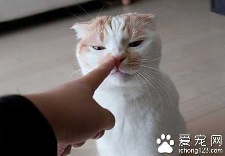 你说你错在哪？