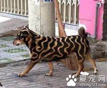 告诉我你的身份