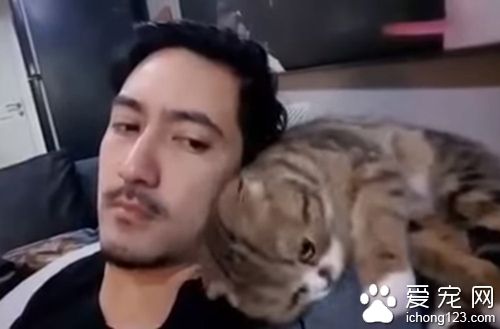 猫咪看不惯猫奴的发型 只好亲自动手