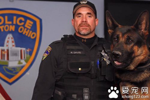 警犬英勇殉职 民众纷纷寄信到警局表示哀悼