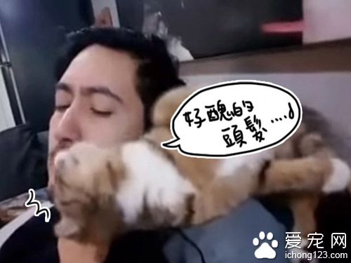 猫咪看不惯猫奴的发型 只好亲自动手