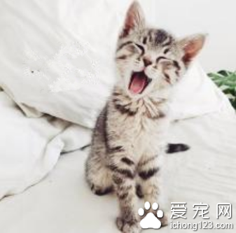 哈哈，笑死我了