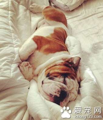 不想出去见人了