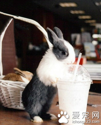 点一杯饮料可以坐一下午了