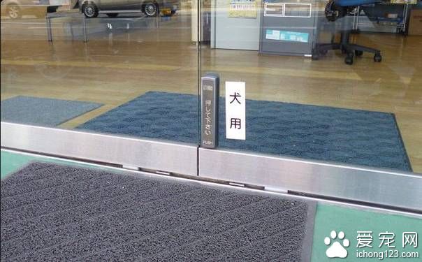 这条看门狗会帮你开门 因为它有狗狗专用自动门