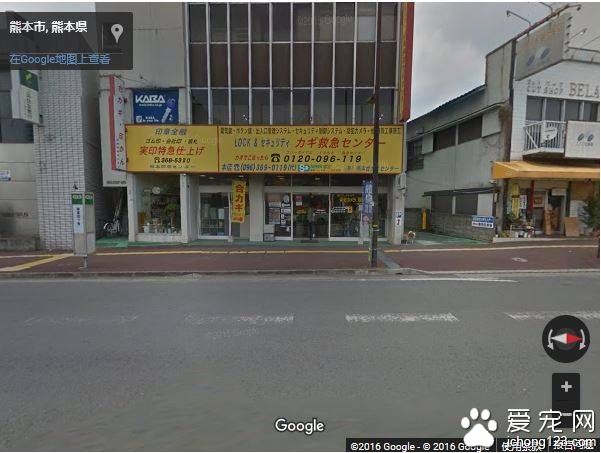 这条看门狗会帮你开门 因为它有狗狗专用自动门