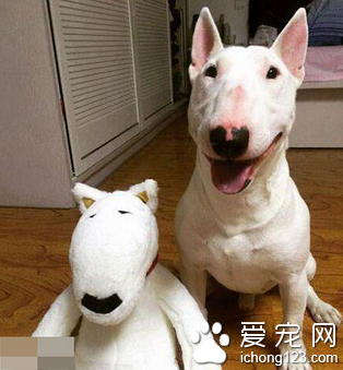 这货居然长得跟我一样