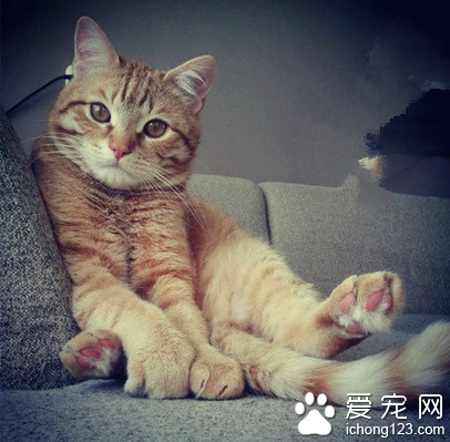 别烦我，我想静静