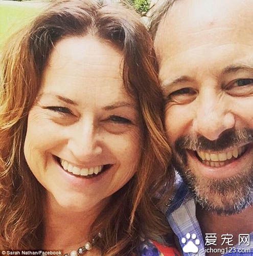 猫对人类的内衣裤和袜子有着偏执的喜好 变态的收藏