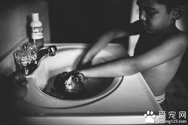 妈妈拍下儿子与宠物猫的互动 整张照片充满爱