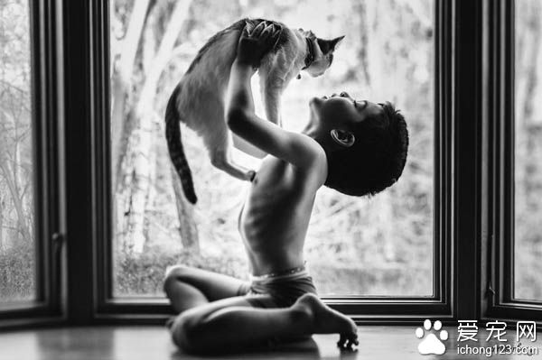 妈妈拍下儿子与宠物猫的互动 整张照片充满爱