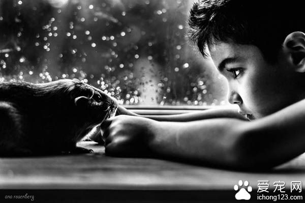 妈妈拍下儿子与宠物猫的互动 整张照片充满爱