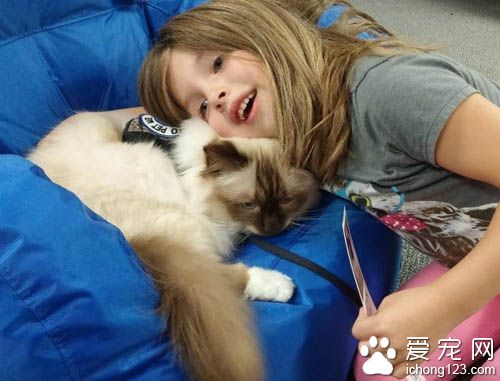 治疗猫陪伴小朋友朗读书籍 陪伴孩子们克服障碍！