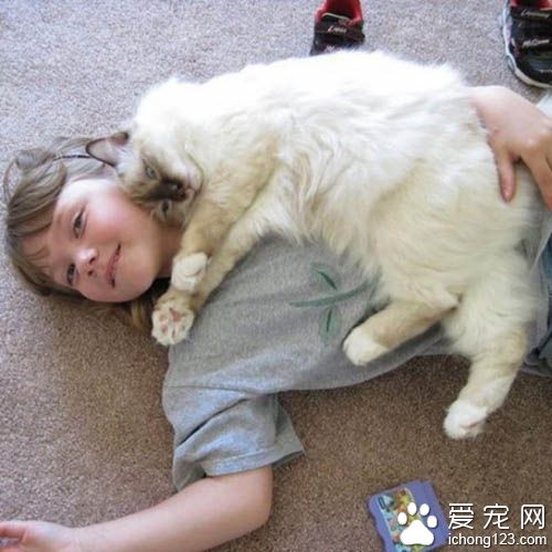 治疗猫陪伴小朋友朗读书籍 陪伴孩子们克服障碍！