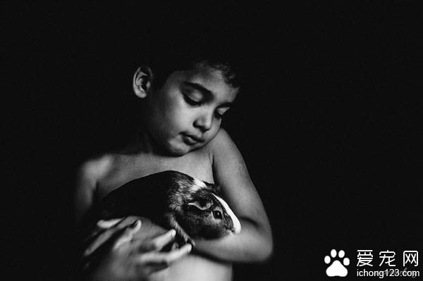 妈妈拍下儿子与宠物猫的互动 整张照片充满爱