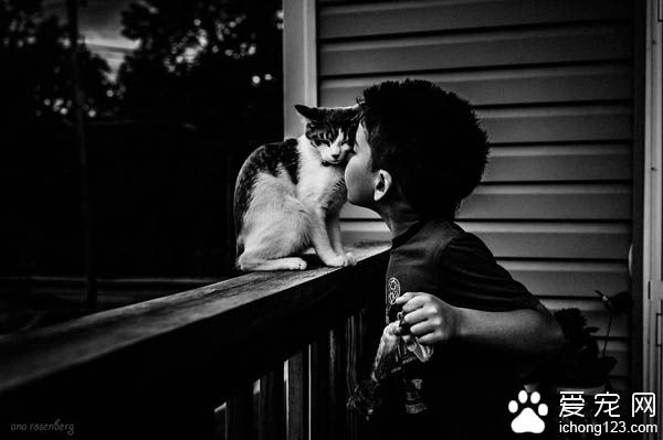 妈妈拍下儿子与宠物猫的互动 整张照片充满爱