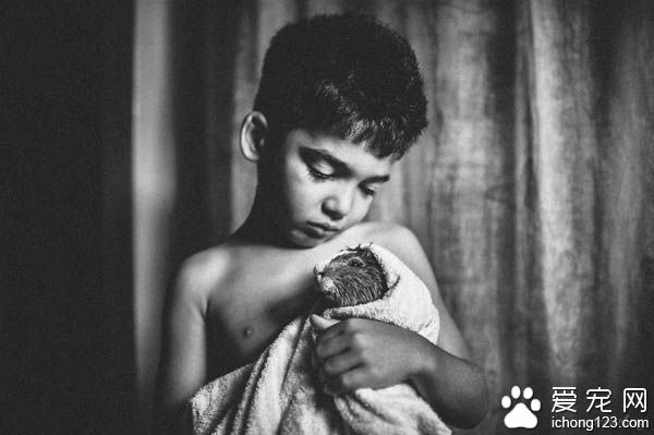 妈妈拍下儿子与宠物猫的互动 整张照片充满爱