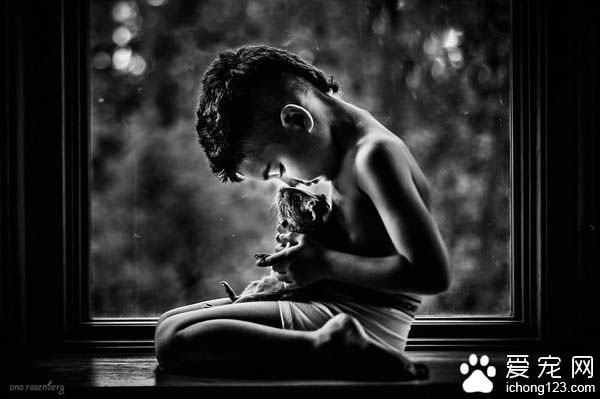 妈妈拍下儿子与宠物猫的互动 整张照片充满爱