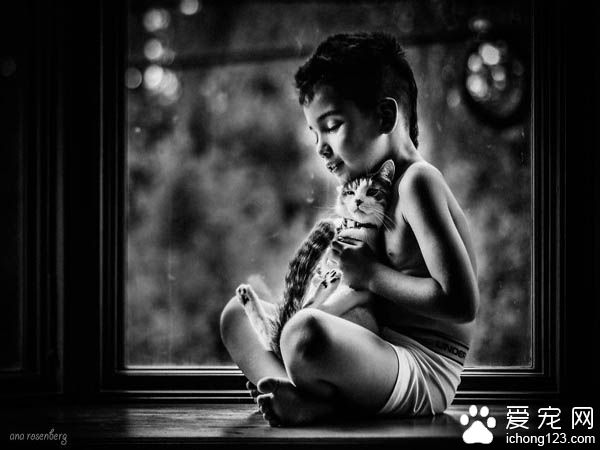 妈妈拍下儿子与宠物猫的互动 整张照片充满爱