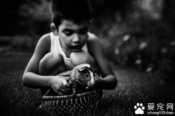 妈妈拍下儿子与宠物猫的互动 整张照片充满爱