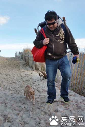 女子领养21岁病猫带它去旅行陪它度过最后的时光