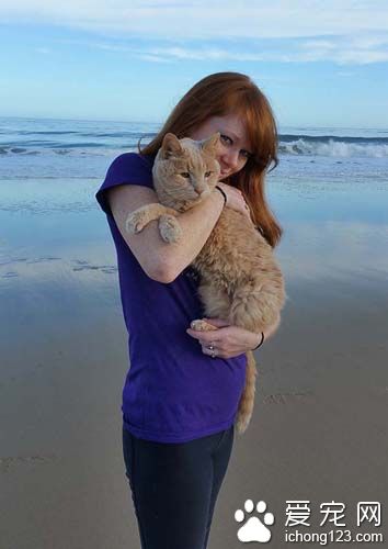 女子领养21岁病猫带它去旅行陪它度过最后的时光