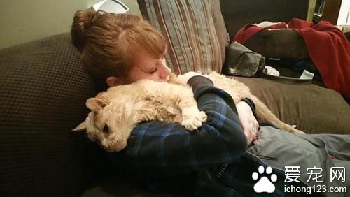 女子领养21岁病猫带它去旅行陪它度过最后的时光