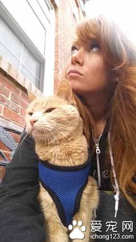 女子领养21岁病猫带它去旅行陪它度过最后的时光