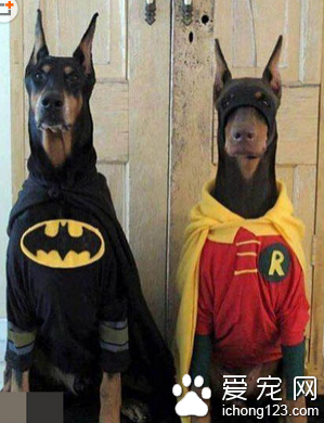 我们哥俩要去拯救世界了 好神奇的赶脚