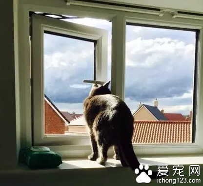 世界那么大我想出去走走