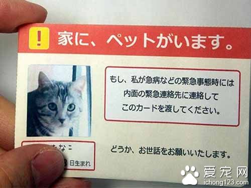 日本网友提倡大家随身携带宠物卡