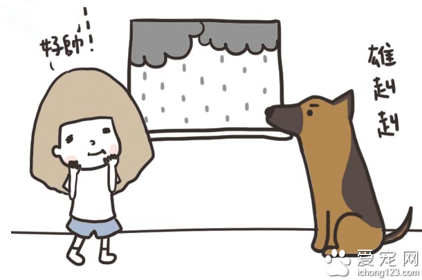 家有大狗才会发生的可爱趣事，养过大型犬的才有体会