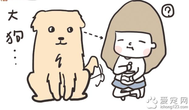 家有大狗才会发生的可爱趣事，养过大型犬的才有体会