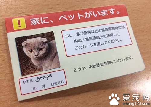 日本网友提倡大家随身携带宠物卡