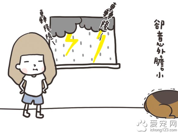 家有大狗才会发生的可爱趣事，养过大型犬的才有体会