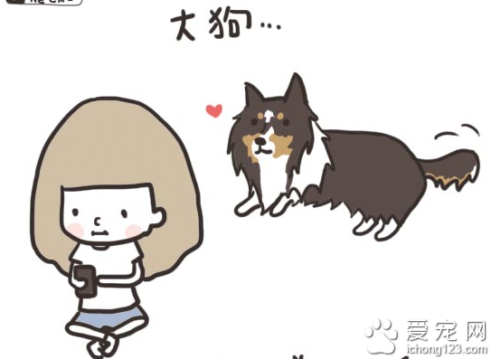 家有大狗才会发生的可爱趣事，养过大型犬的才有体会