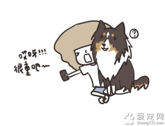 家有大狗才会发生的可爱趣事，养过大型犬的才有体会