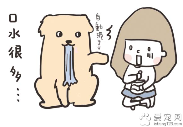 家有大狗才会发生的可爱趣事，养过大型犬的才有体会