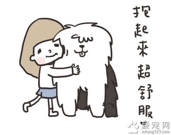 家有大狗才会发生的可爱趣事，养过大型犬的才有体会