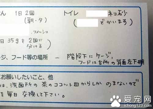 日本网友提倡大家随身携带宠物卡
