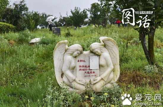 成都龙泉驿区宠物公墓:最贵喊价1.2万