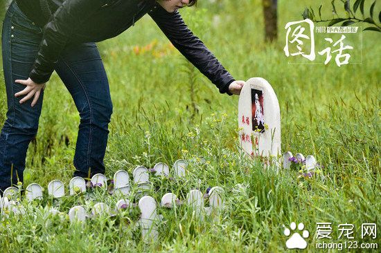 成都龙泉驿区宠物公墓:最贵喊价1.2万