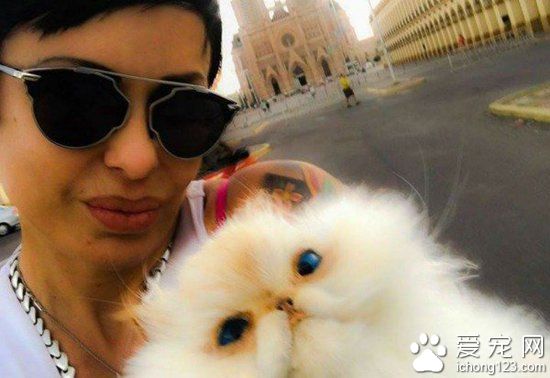 妹子将去世宠物猫做防腐处理,从此形影不离