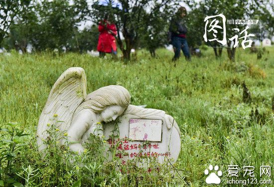 成都龙泉驿区宠物公墓:最贵喊价1.2万